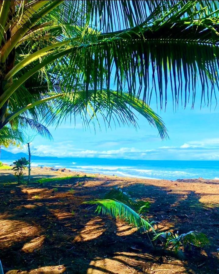 Tortuga Bay Eco Hotel El Valle  Exteriör bild