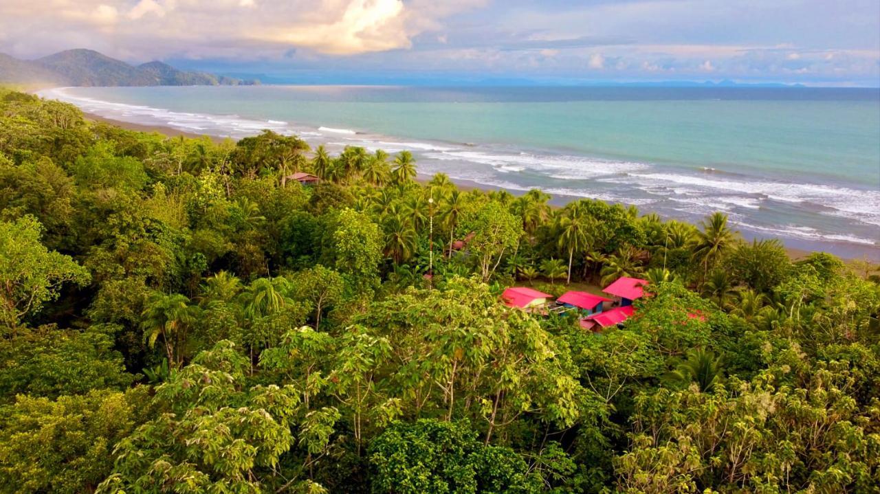 Tortuga Bay Eco Hotel El Valle  Exteriör bild