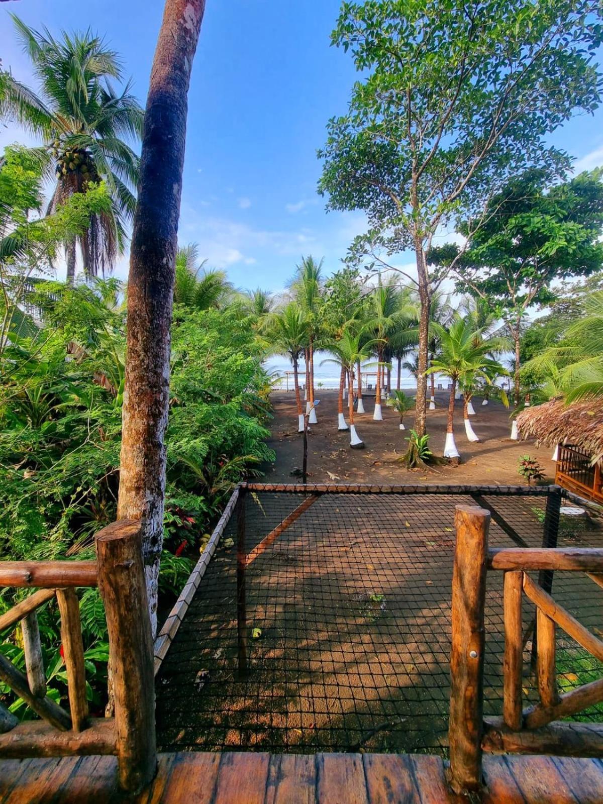 Tortuga Bay Eco Hotel El Valle  Rum bild